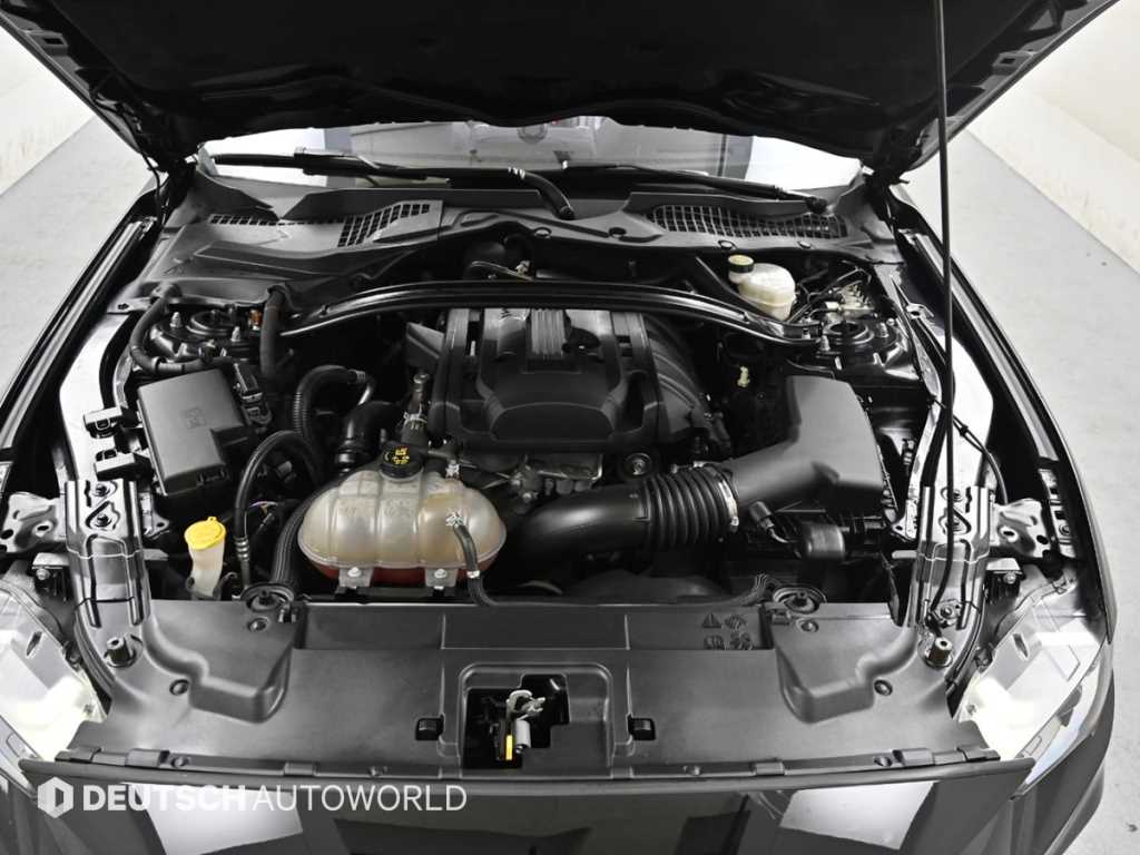 Ford Mustang - Vista 6