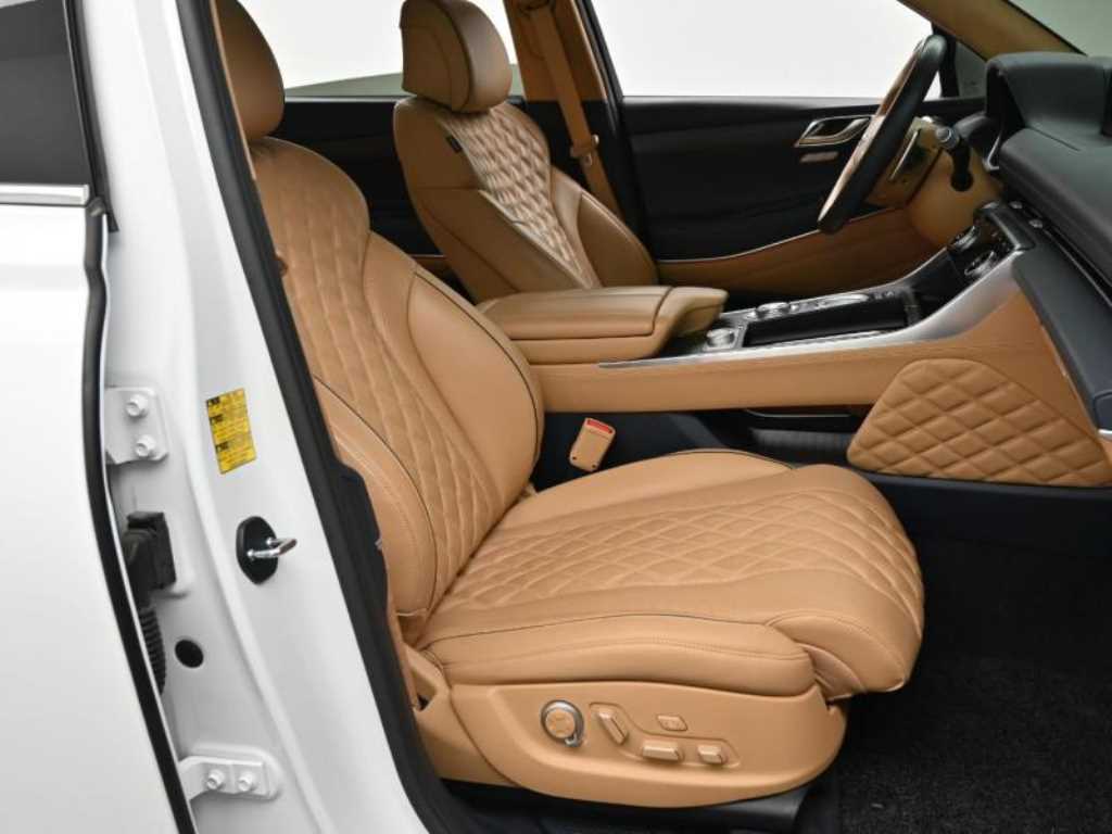 Genesis GV80 - Vista 10