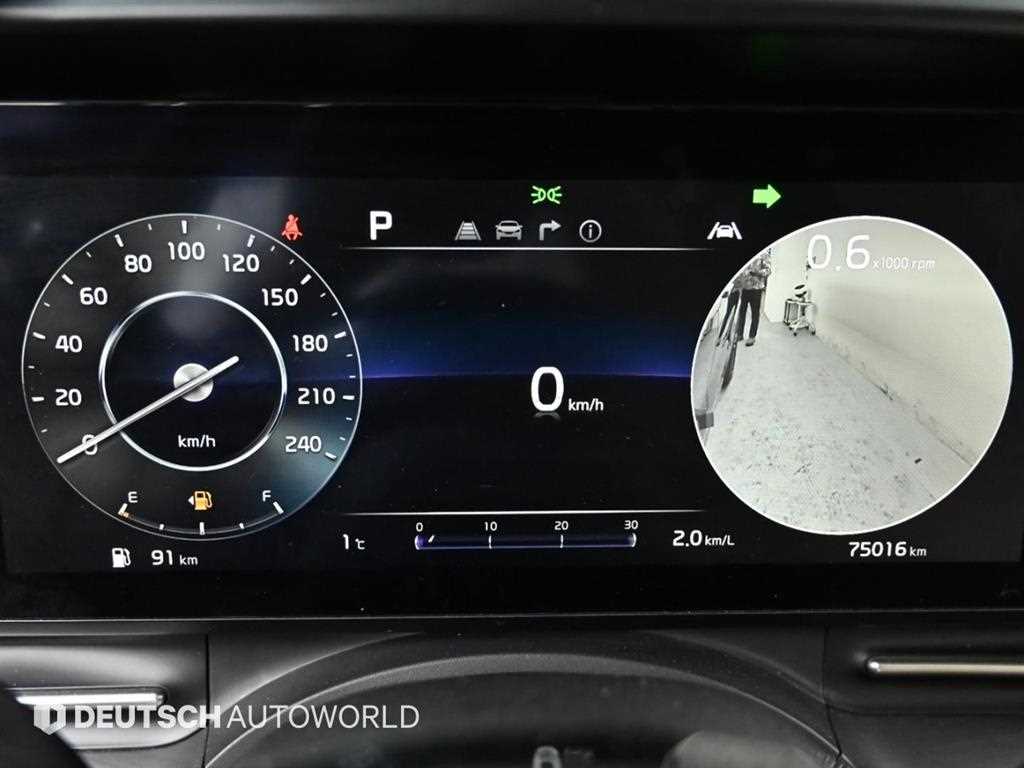 KIA Carnival - Vista 8