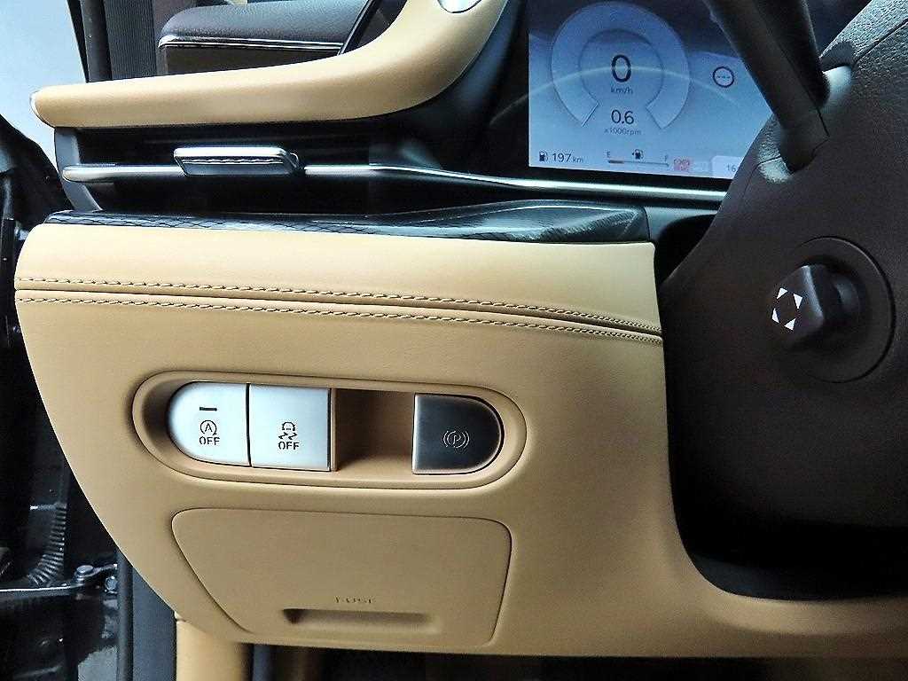 Genesis G90 - Vista 12