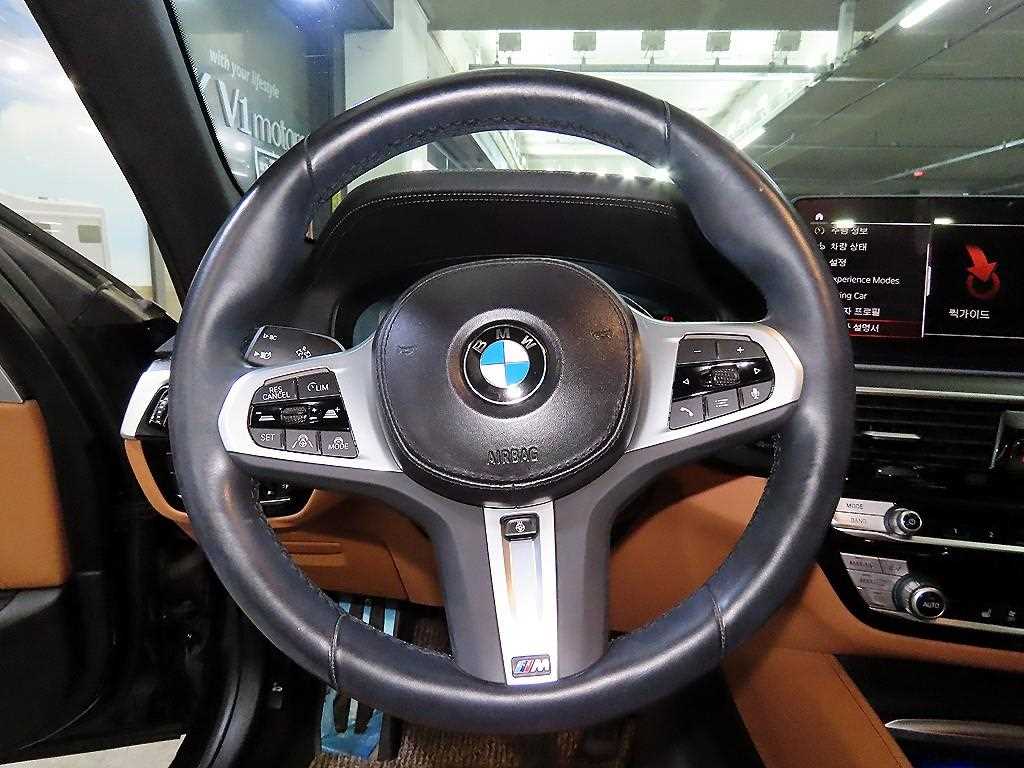 BMW 5 Series - Vista 8