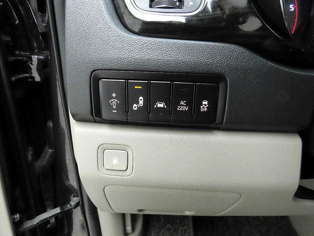 KIA Carnival - Vista 11