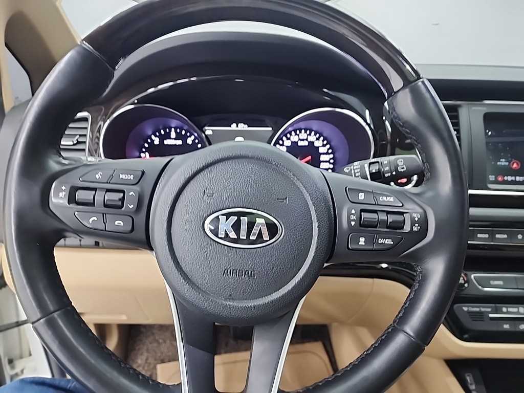 KIA Carnival - Vista 9