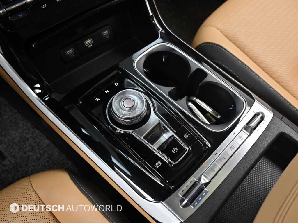 KIA Carnival - Vista 9