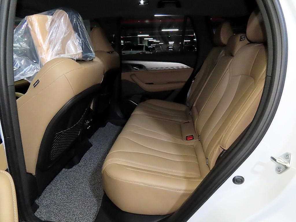 SAMSUNG Grand Koleos - Vista 8