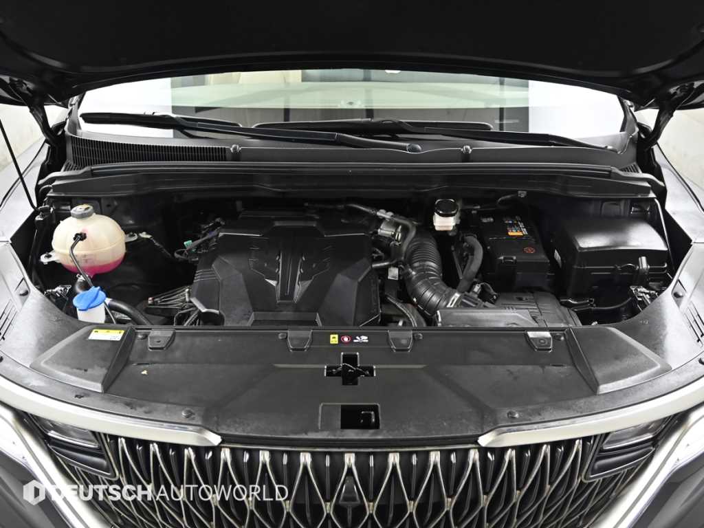 KIA Carnival - Vista 6