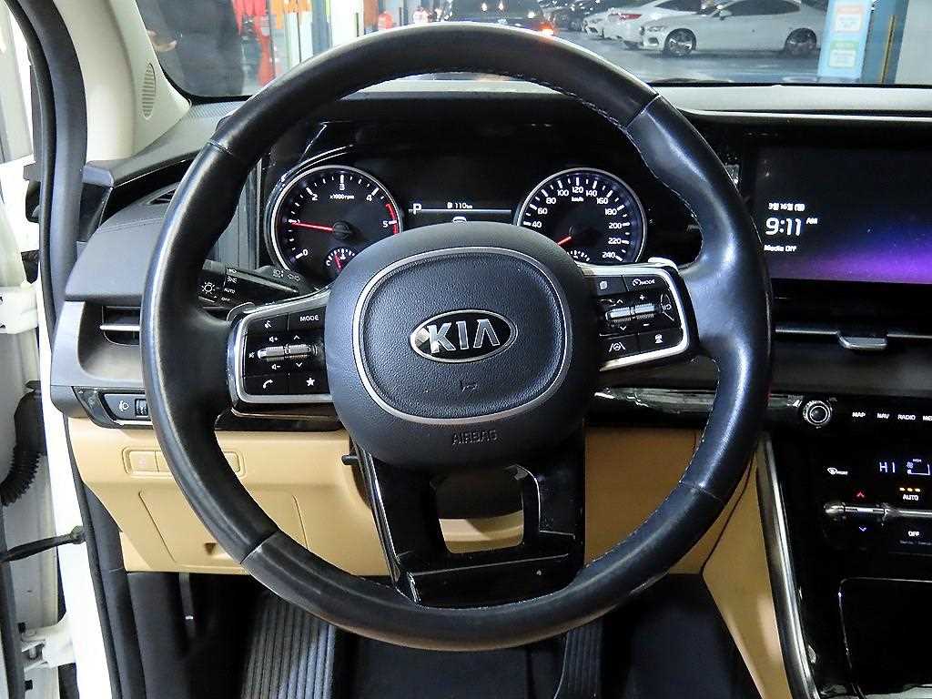 KIA Carnival - Vista 8