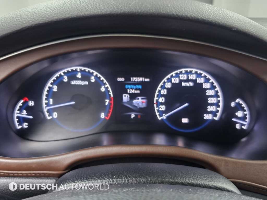 HYUNDAI Genesis - Vista 8