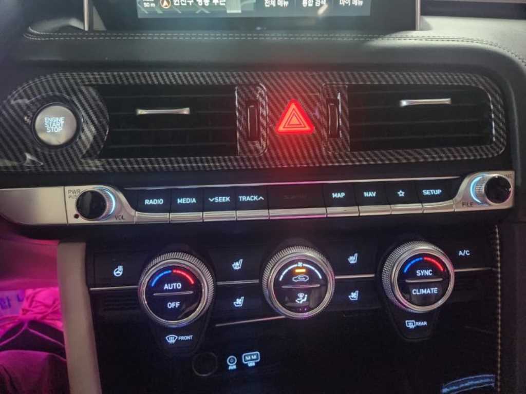 Genesis G70 - Vista 11