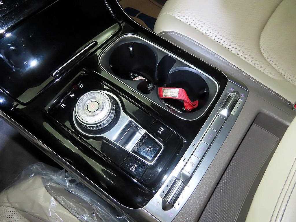 KIA Carnival - Vista 12