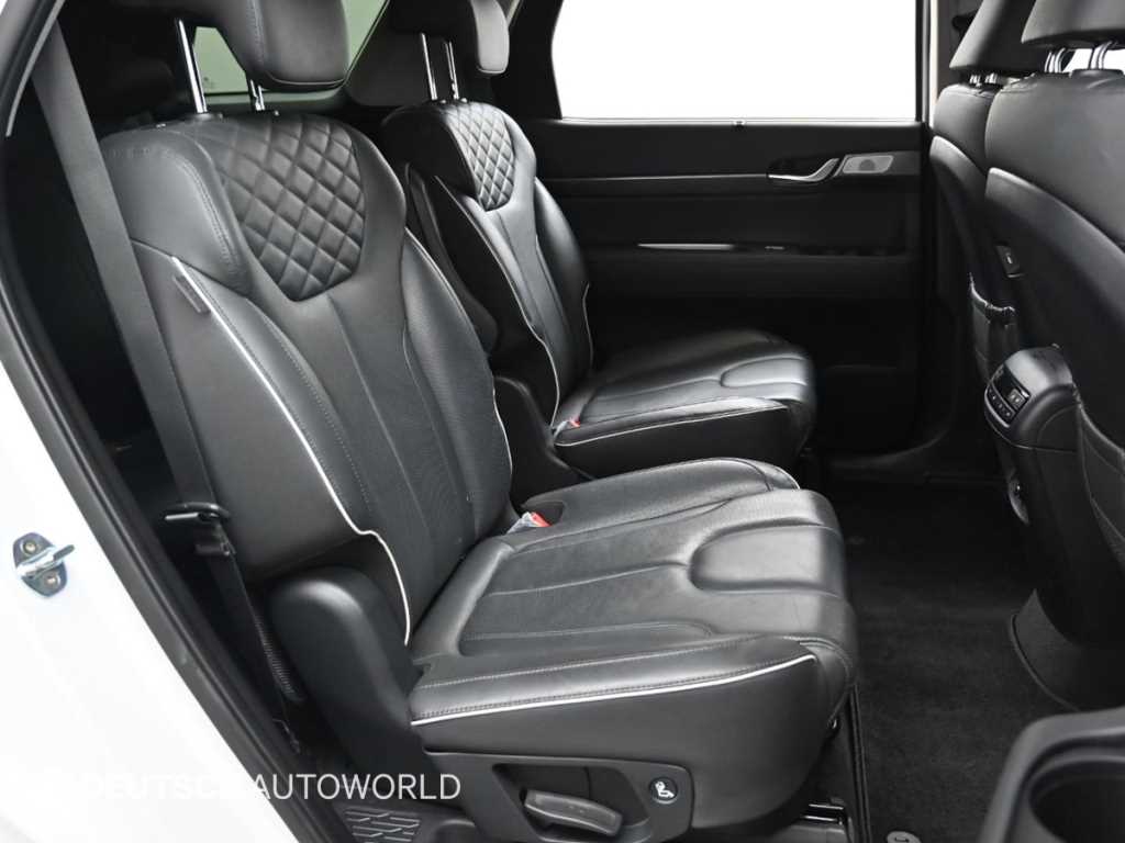 HYUNDAI Palisade - Vista 12