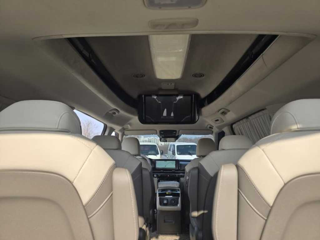 KIA Carnival - Vista 12