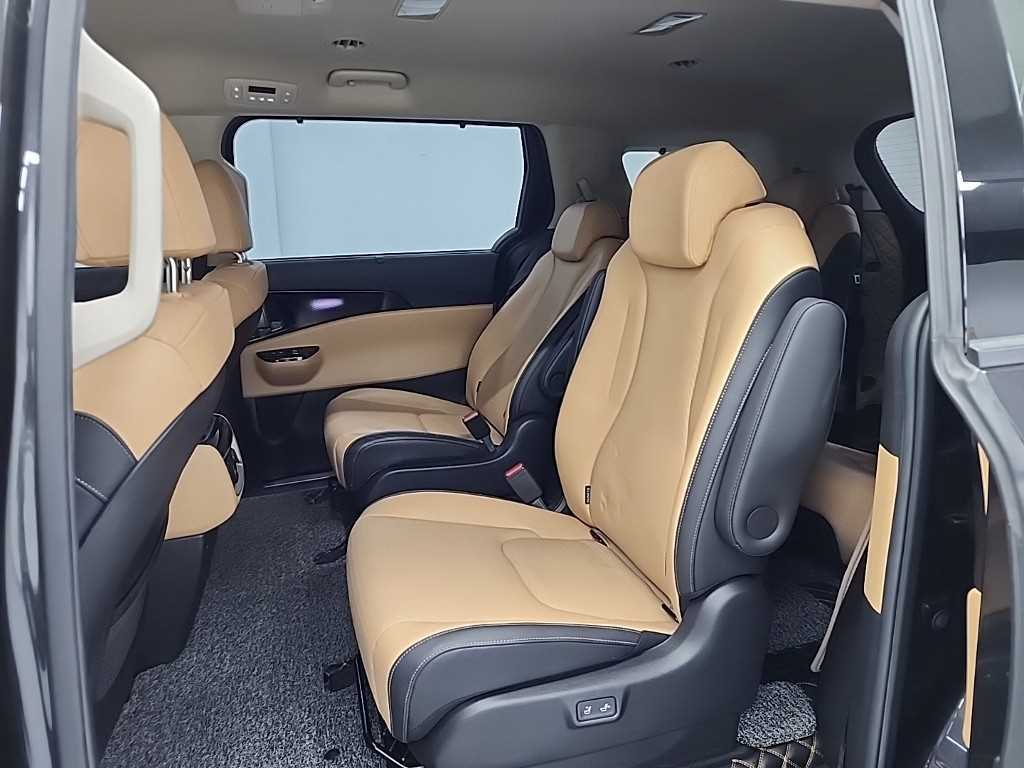 KIA Carnival - Vista 12