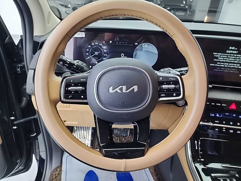 KIA Carnival - Vista 9