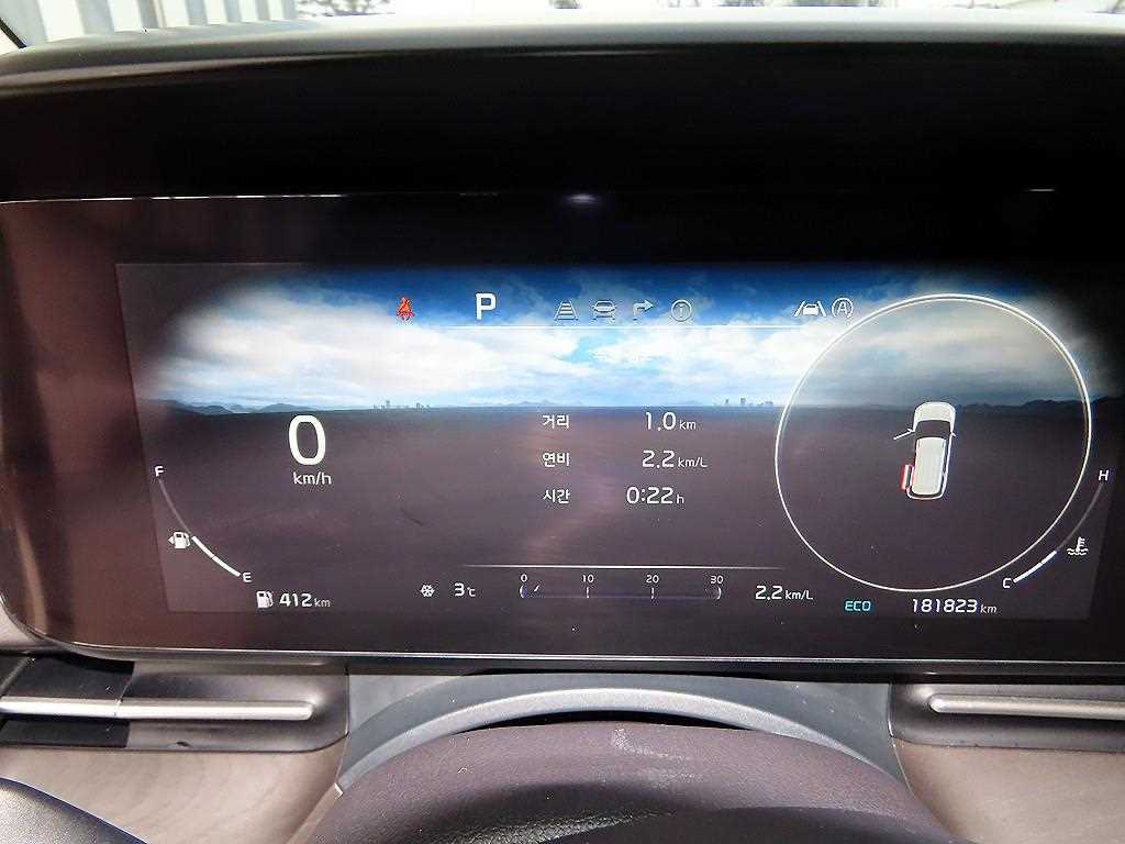 KIA Carnival - Vista 9