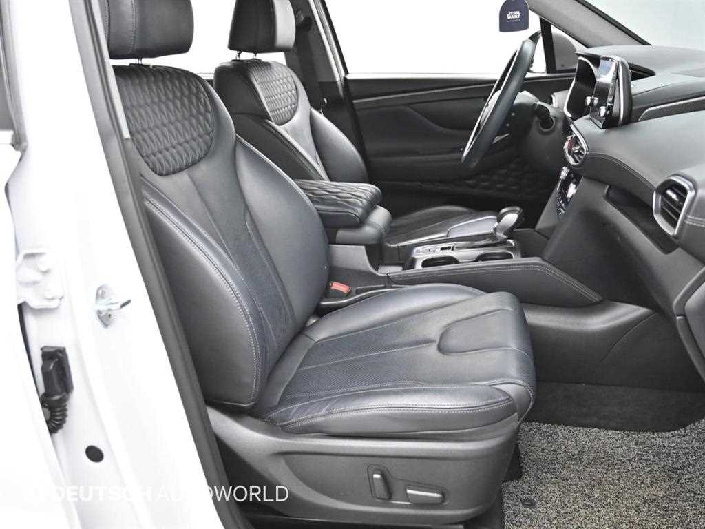 HYUNDAI Santa Fe - Vista 10