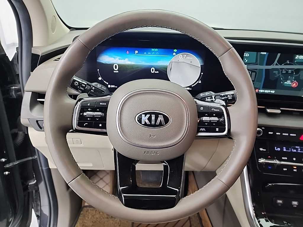 KIA Carnival - Vista 9