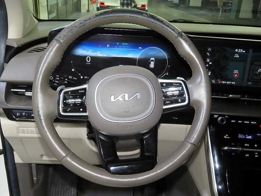 KIA Carnival - Vista 8