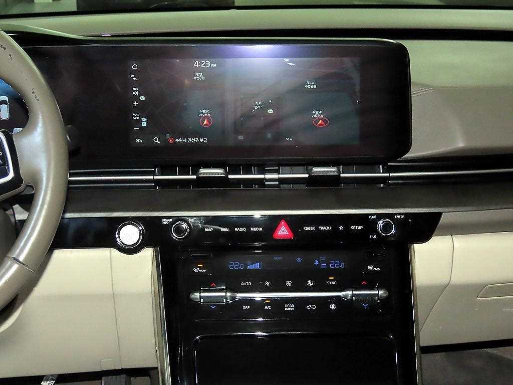 KIA Carnival - Vista 11