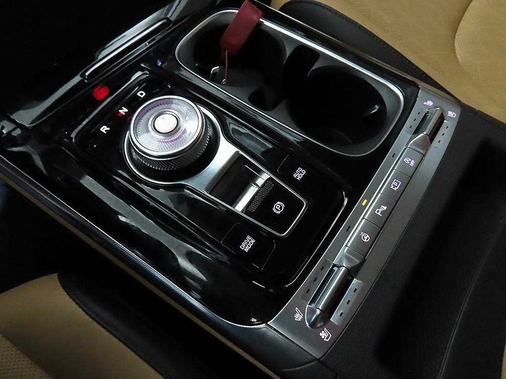 KIA Carnival - Vista 12