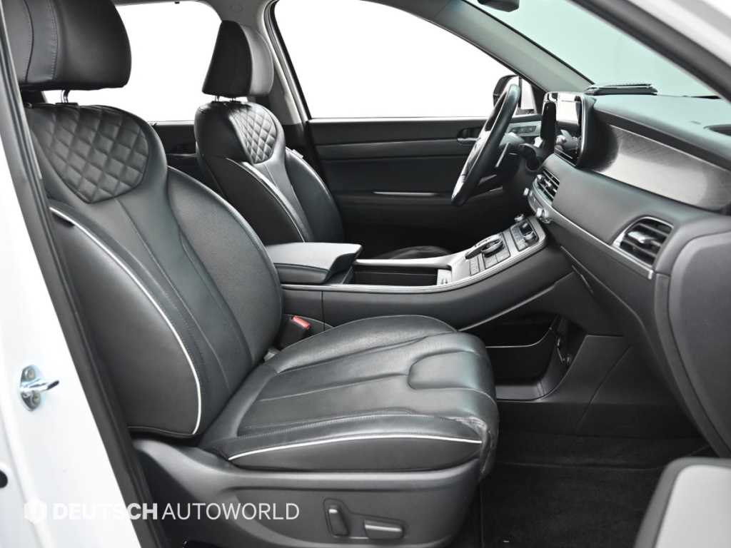 HYUNDAI Palisade - Vista 10