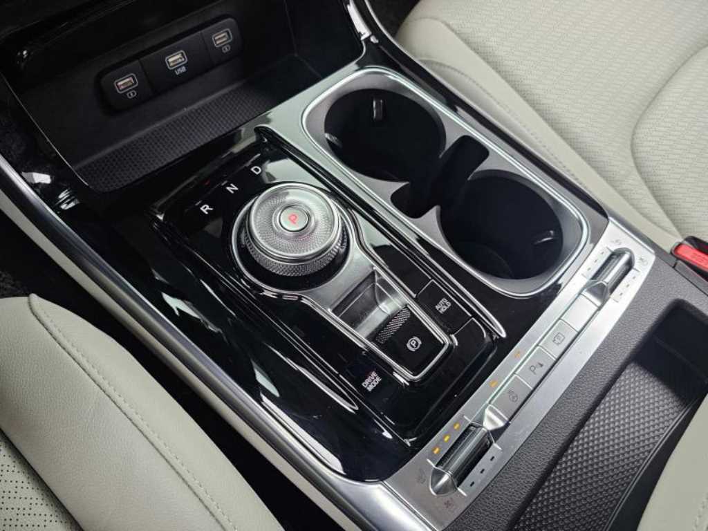 KIA Carnival - Vista 9