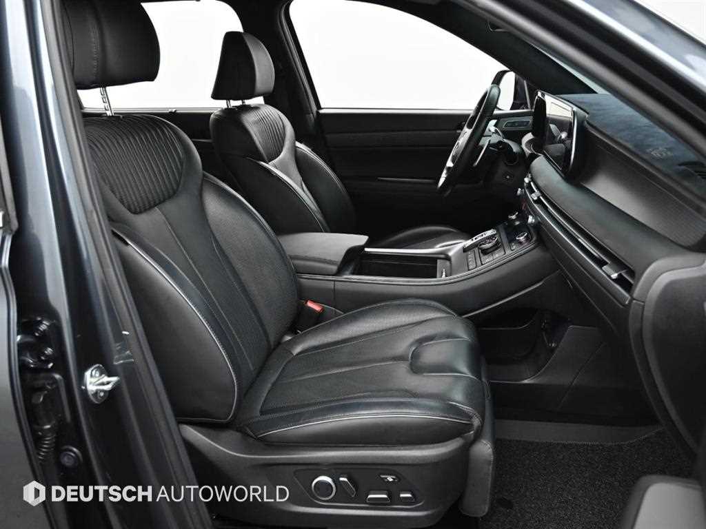 HYUNDAI Palisade - Vista 10