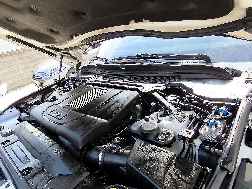 Land Rover Range Rover 2016 Blanco - Importación desde Corea - HF Imports Iquique - Foto 19