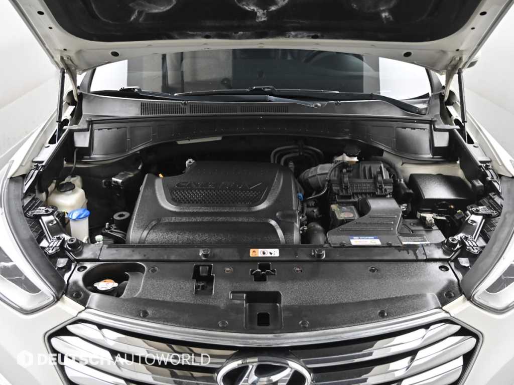 HYUNDAI Maxcruz - Vista 6