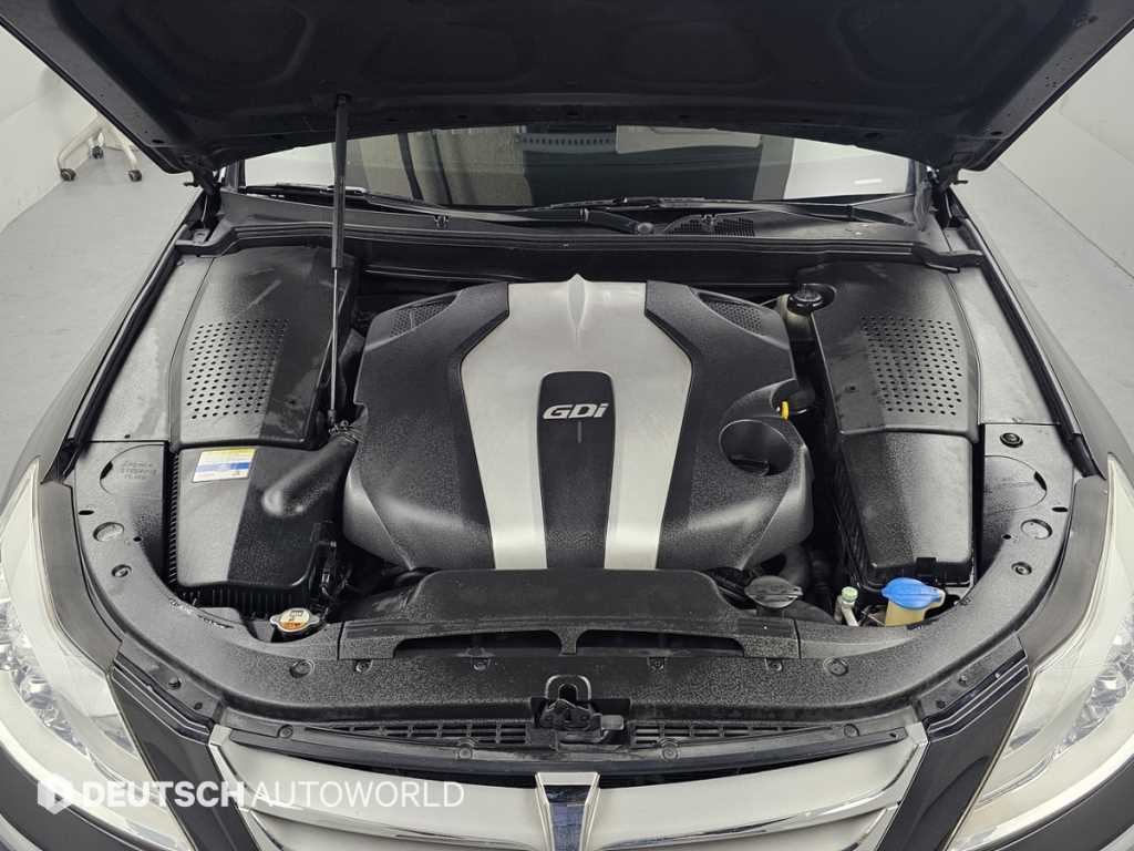 HYUNDAI Genesis - Vista 6