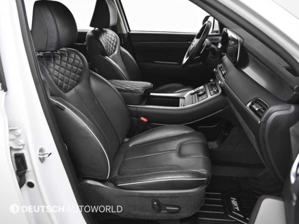 HYUNDAI Palisade - Vista 10