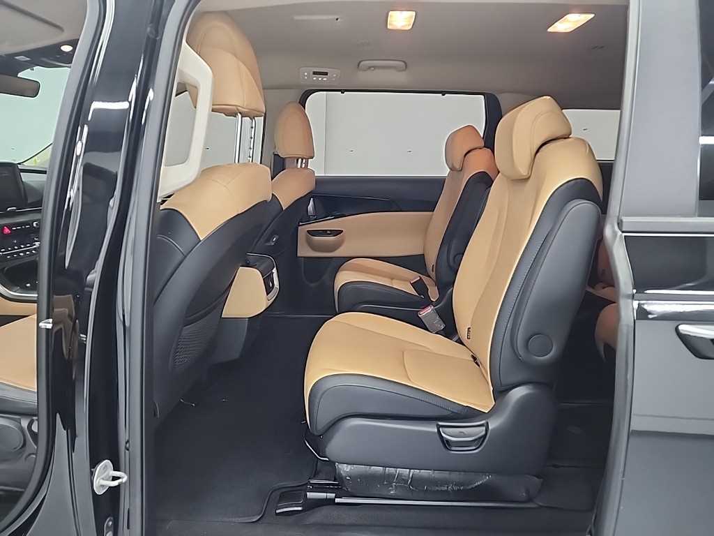 KIA Carnival - Vista 12