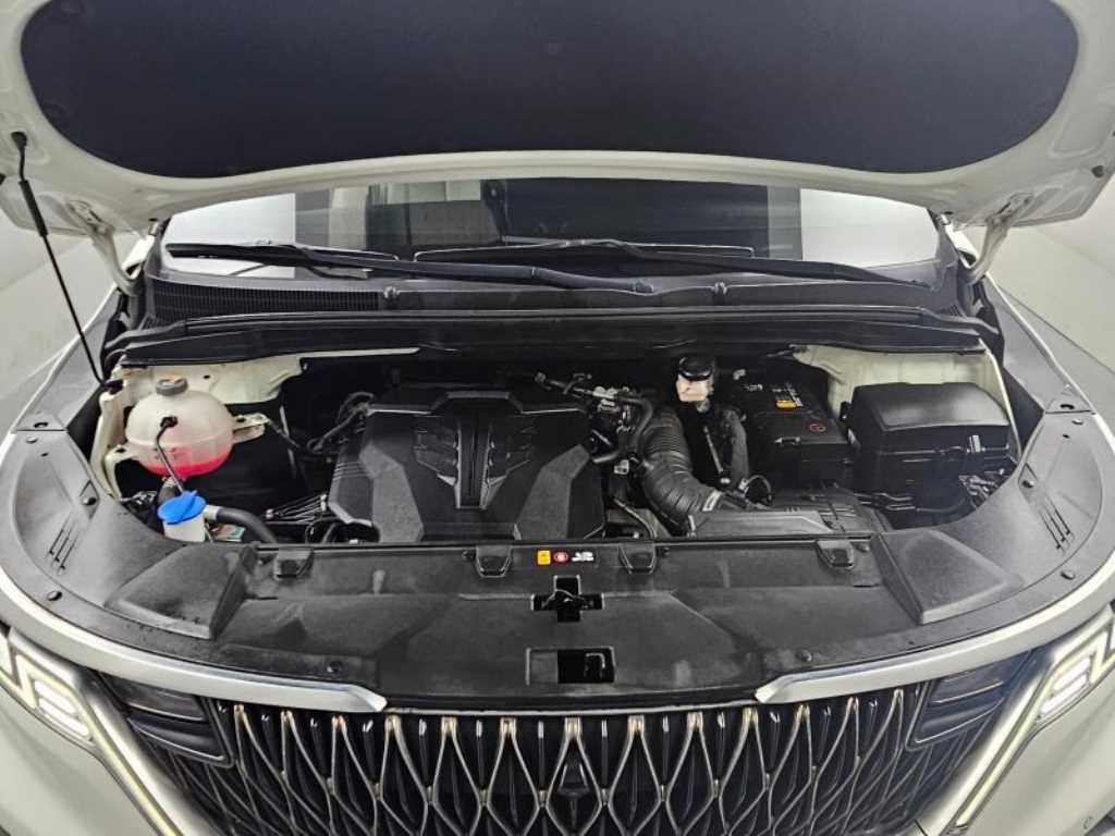 KIA Carnival - Vista 6