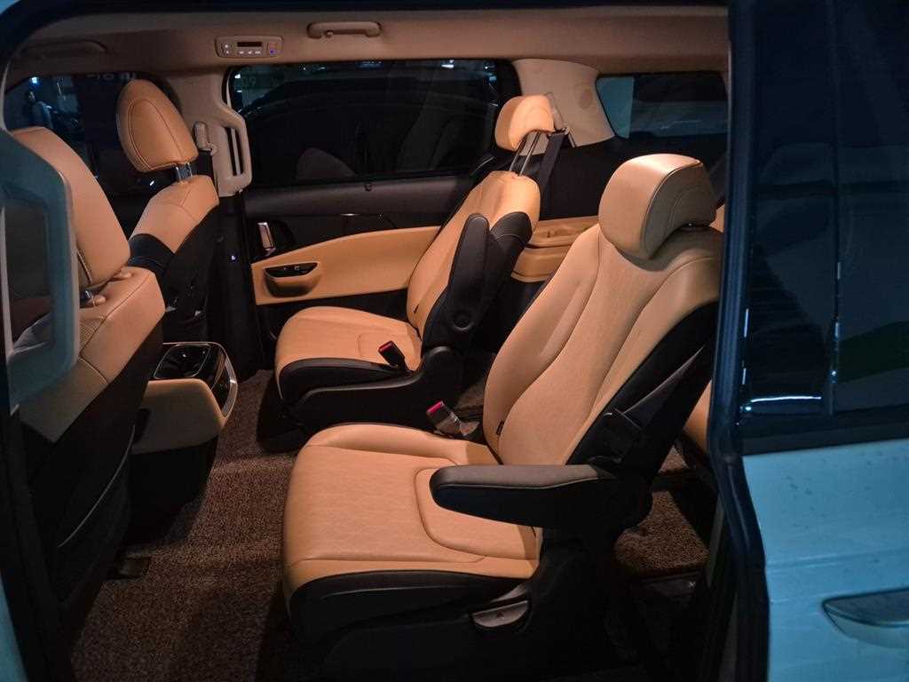 KIA Carnival - Vista 7