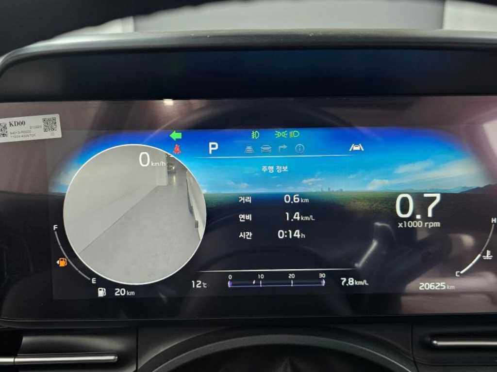 KIA Carnival - Vista 8