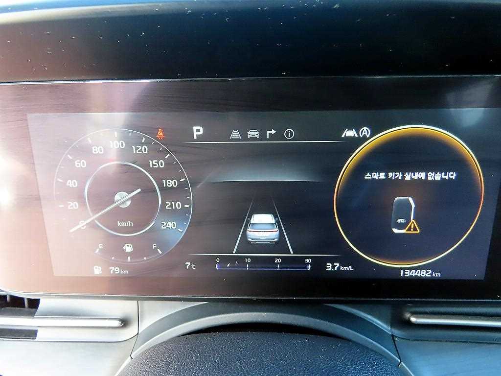 KIA Carnival - Vista 10