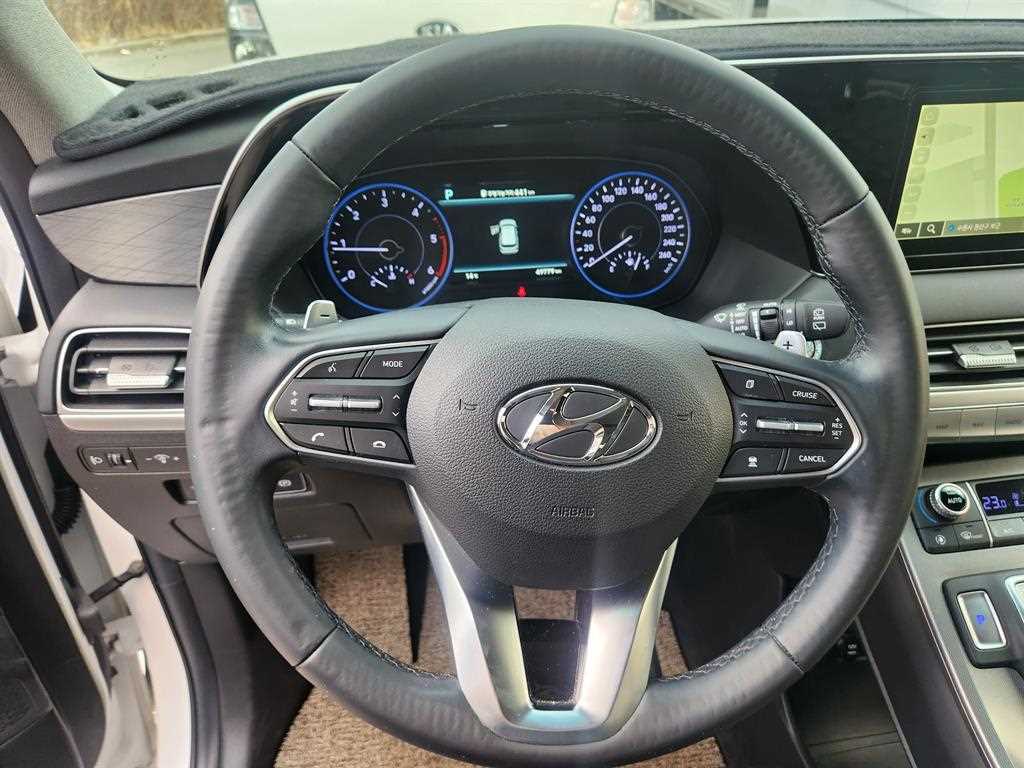 HYUNDAI Palisade - Vista 9