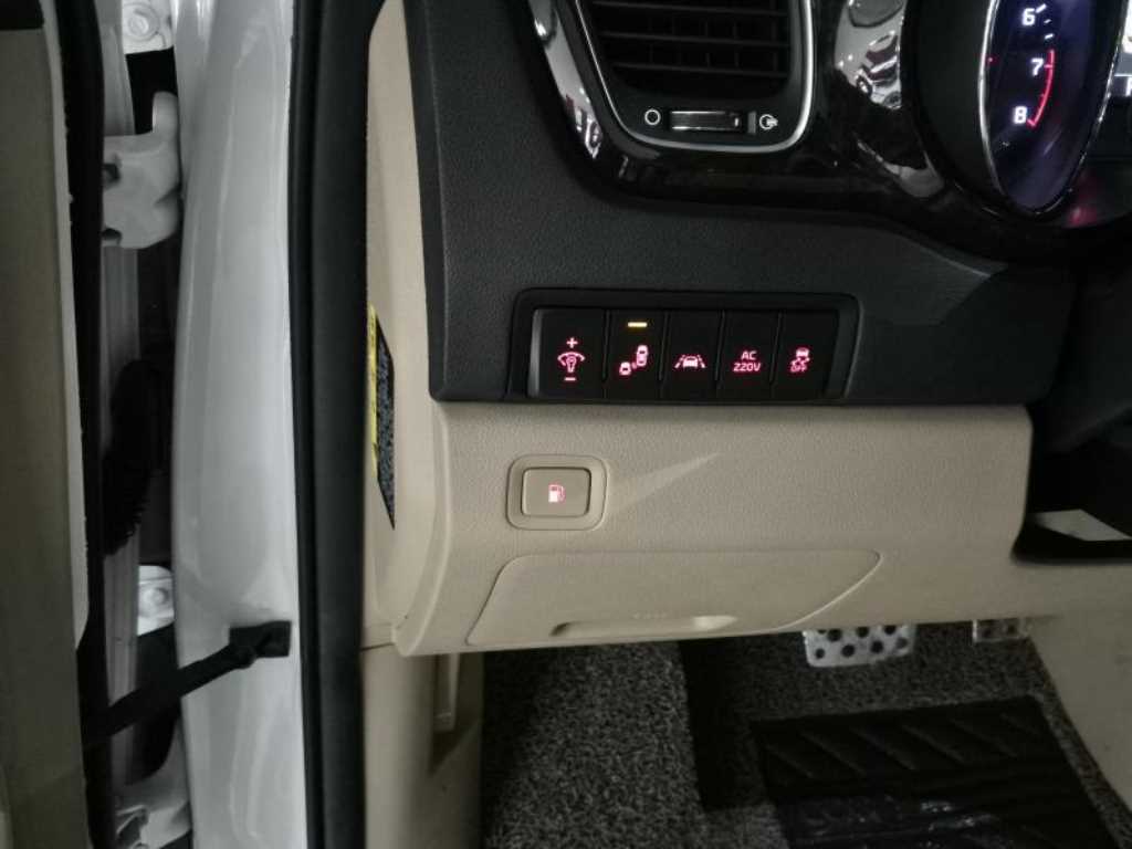 KIA Carnival - Vista 12