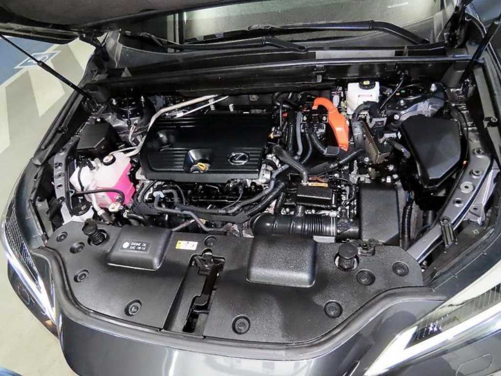 Lexus NX 2024 Gris - Importación desde Corea - HF Imports Iquique - Foto 19