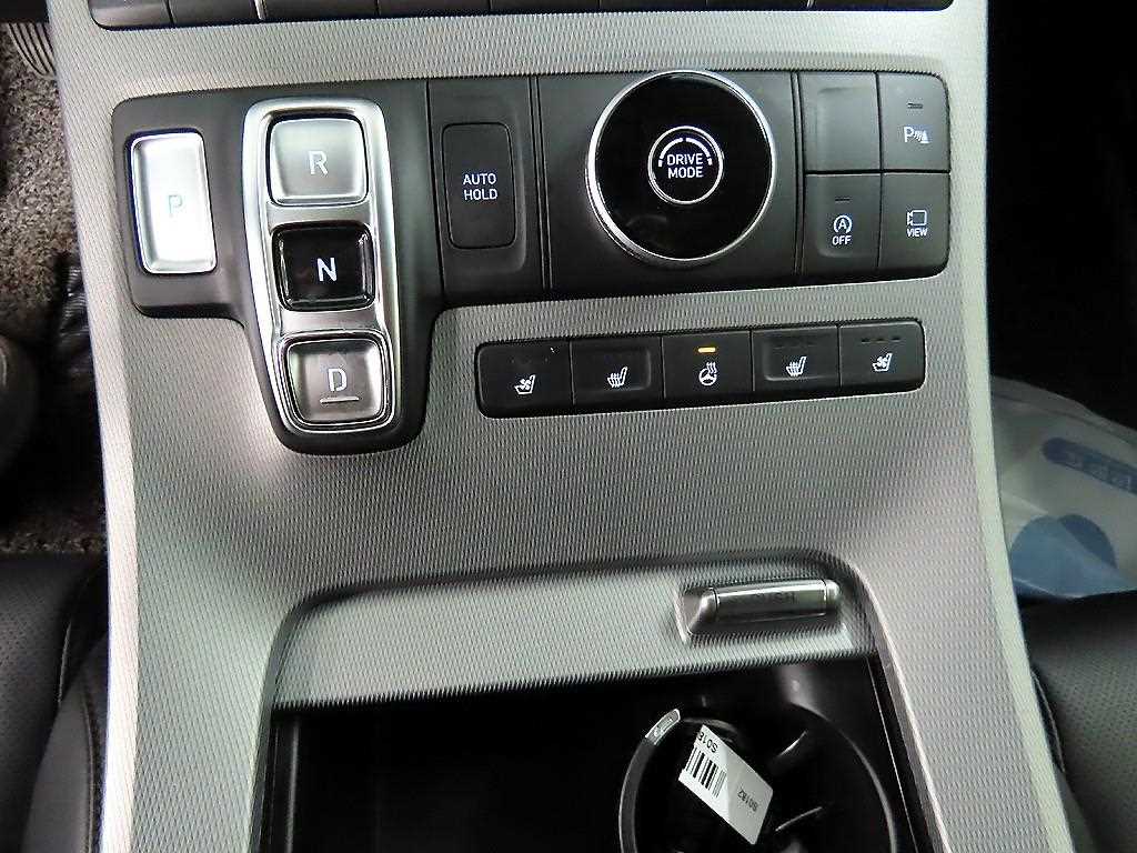 HYUNDAI Palisade - Vista 10