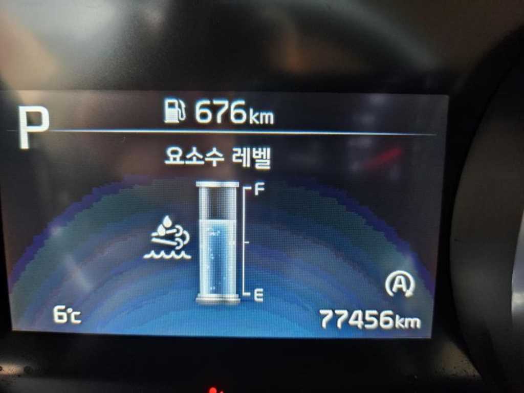 KIA Carnival - Vista 12