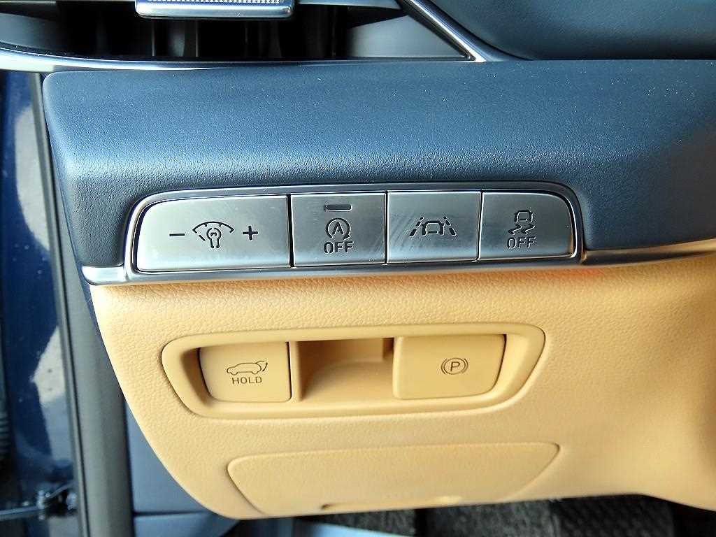 Genesis GV80 - Vista 12