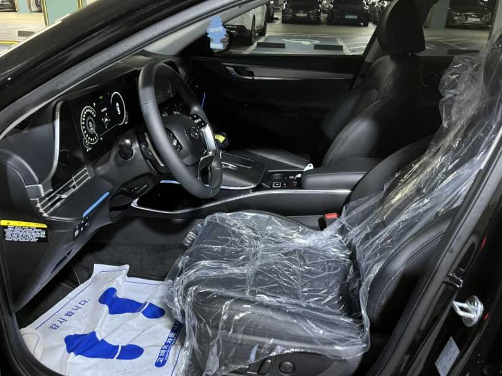 HYUNDAI Grandeur - Vista 12