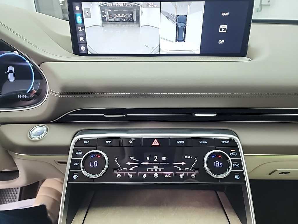 Genesis GV80 - Vista 10