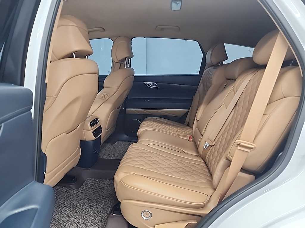 Genesis GV80 - Vista 12