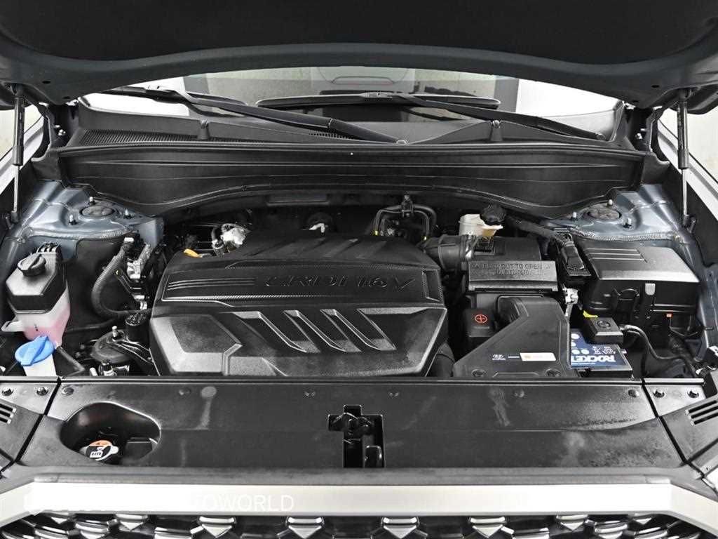 HYUNDAI Palisade - Vista 6