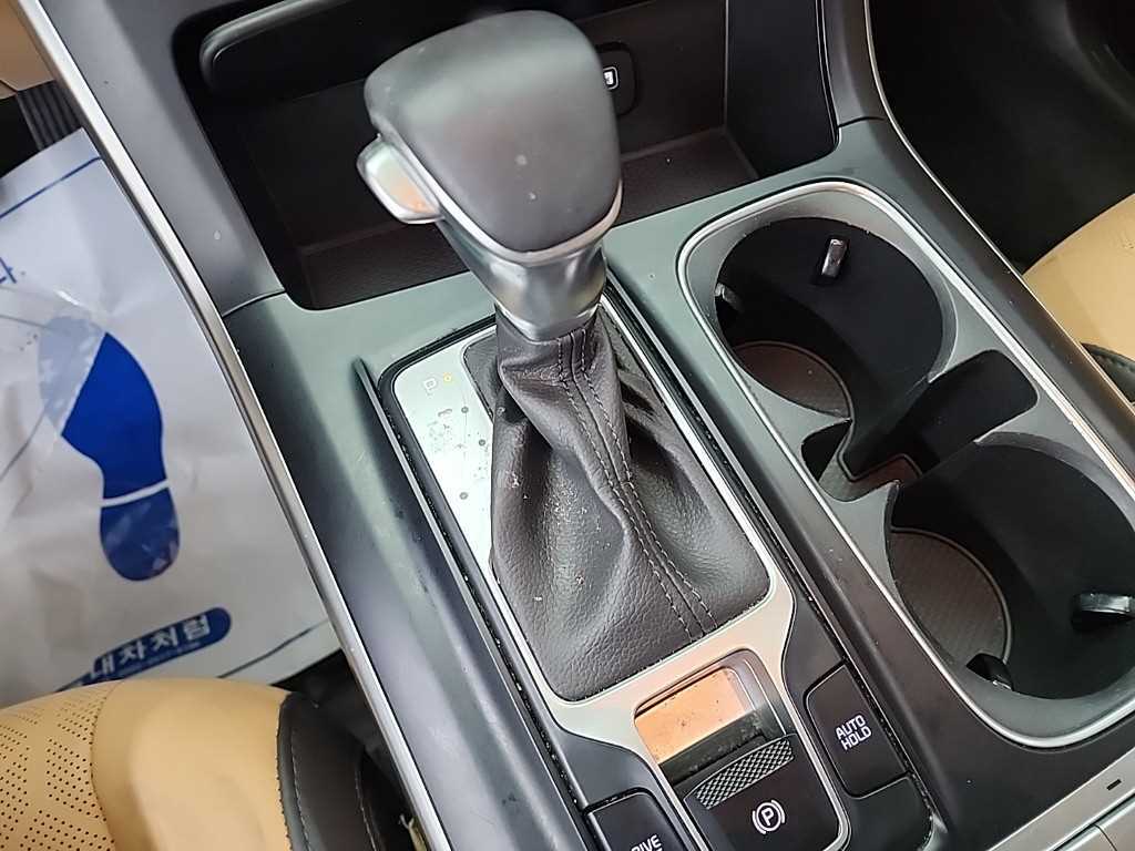 KIA Carnival - Vista 8