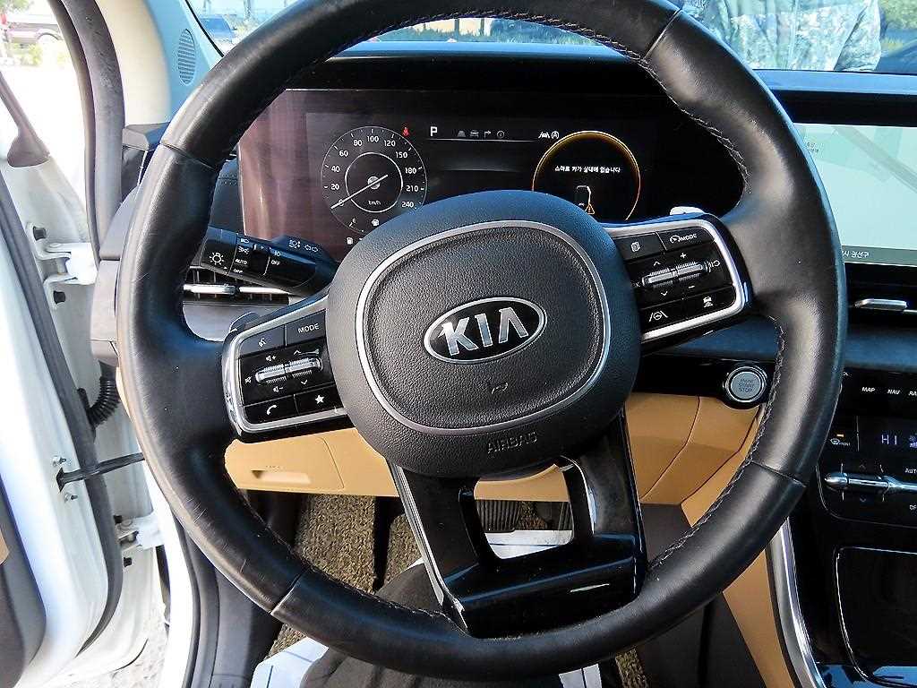 KIA Carnival - Vista 9