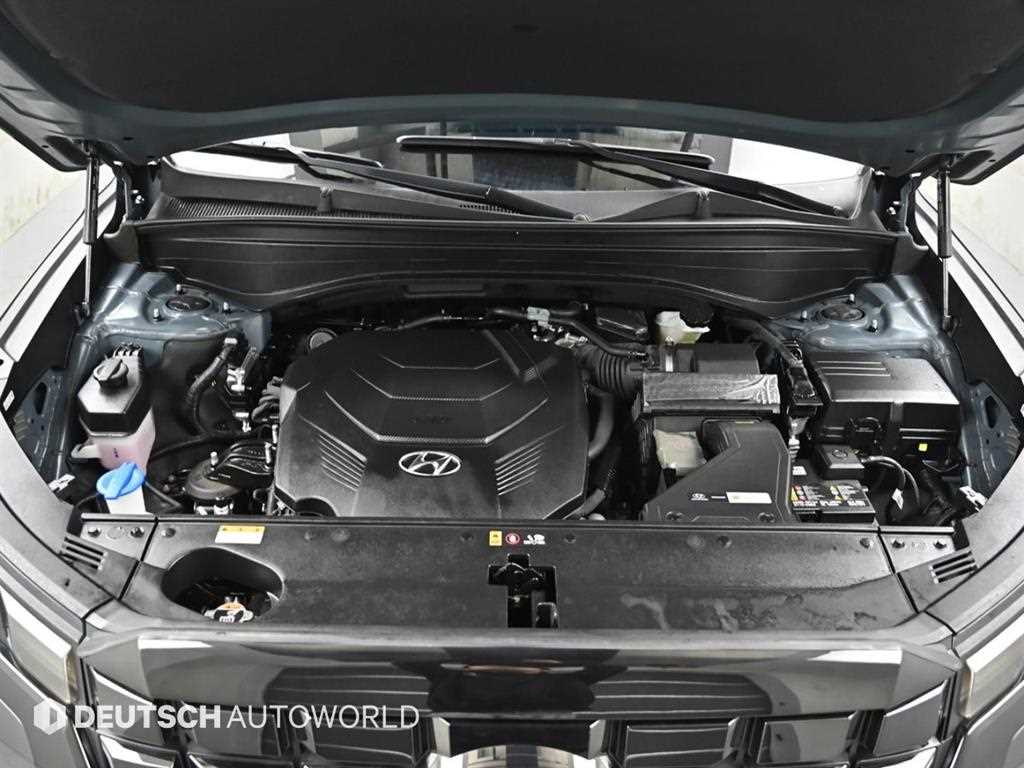 HYUNDAI Palisade - Vista 6