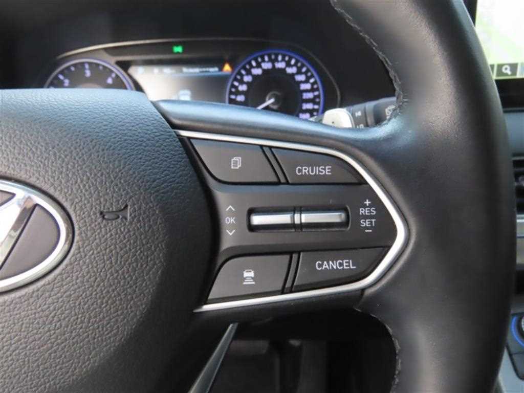 HYUNDAI Palisade - Vista 10